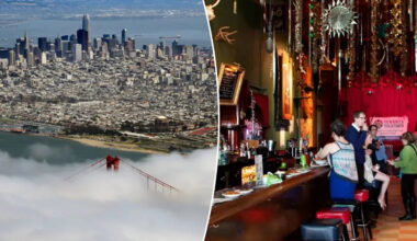 Two classic San Francisco bars hit the market for shockingly low price