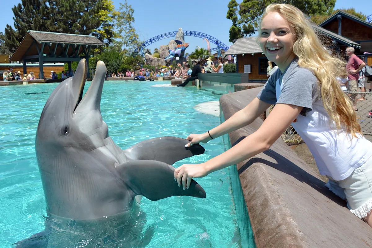 Beloved SeaWorld San Diego staple Dottie the 39-year-old dolphin dies