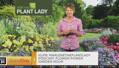 The Plant Lady 9am Pt. 2 (6/7)