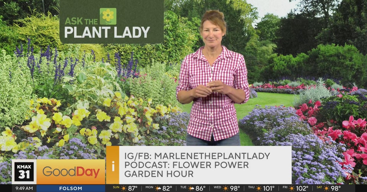 The Plant Lady 9am Pt. 2 (6/7)