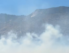Vegetation fire burning in Kern River Canyon, KCFD advising only local traffic allowed through