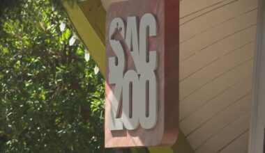 Sacramento Zoo wants to grow by 40%. Here's what residents think