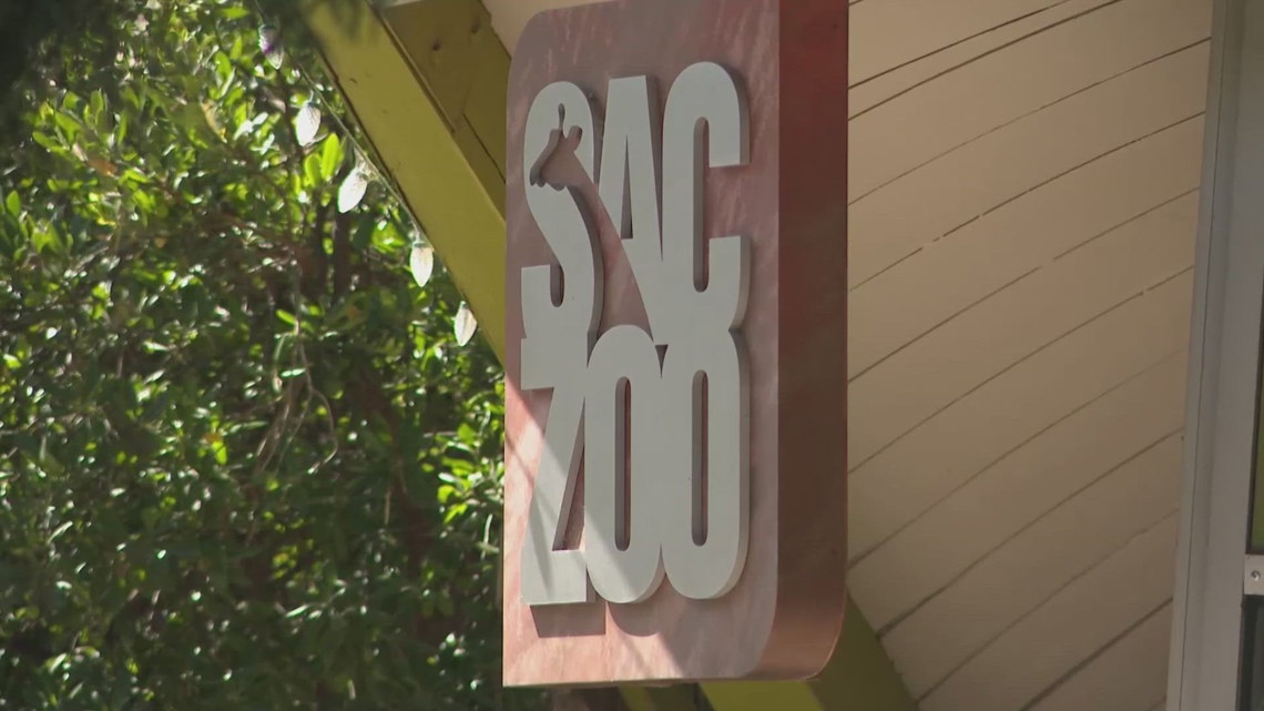 Sacramento Zoo wants to grow by 40%. Here's what residents think