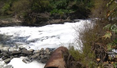 Supervisor Paloma Aguirre to testify about Tijuana River sewage crisis in Sacramento