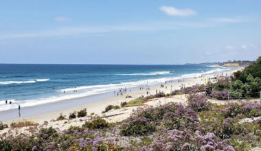 California's New Law For Del Mar Beachgoers Comes With Up To $1,000 Fines For Breaking This Rule