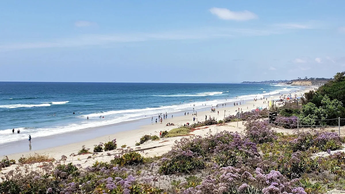 California's New Law For Del Mar Beachgoers Comes With Up To $1,000 Fines For Breaking This Rule