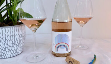 Sunny Doench Stricker’s Future Perfect Rosé The Porch Pounder