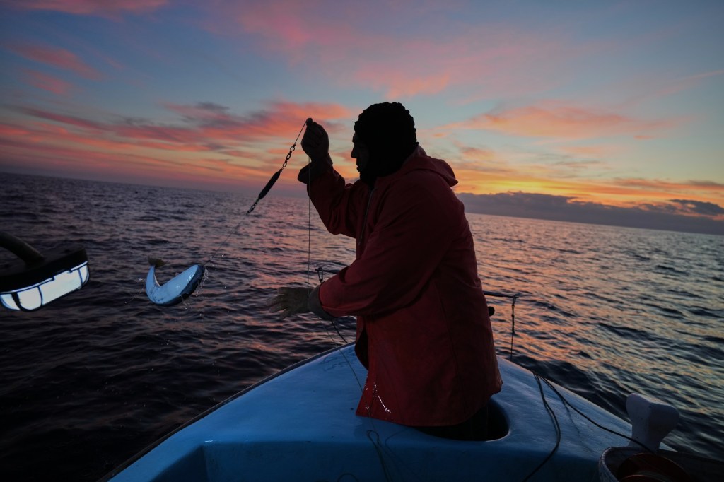 Greece is paying fishermen to catch toxic toadfish invading the warming Mediterranean