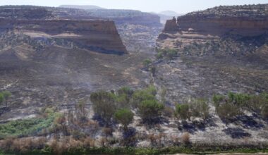 3 firefighters killed in Colorado as wildfires rage across West – NBC Los Angeles