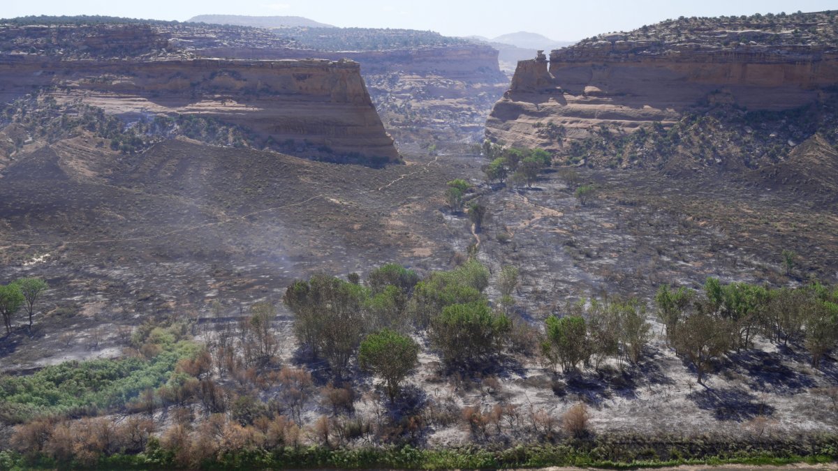 3 firefighters killed in Colorado as wildfires rage across West – NBC Los Angeles