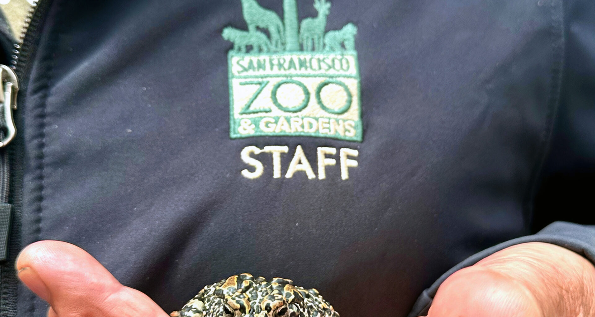 School's out, and kids get in free at San Francisco Zoo on weekdays this month