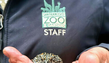 School's out, and kids get in free at San Francisco Zoo on weekdays this month