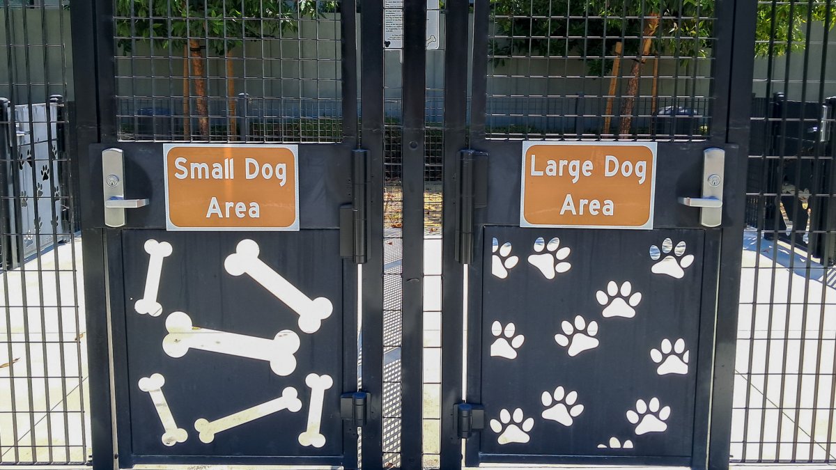 Santa Clara dog park reopens – NBC Bay Area