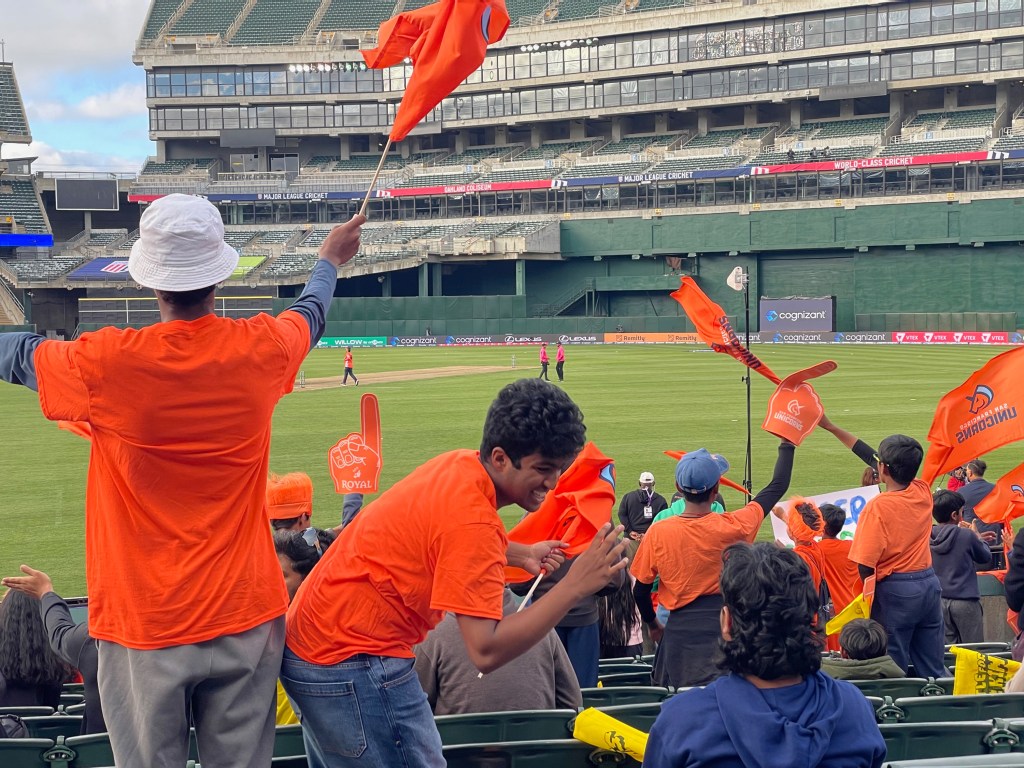 Fans in orange attire cheer at a cricket match, waving flags and foam signs in a large stadium.