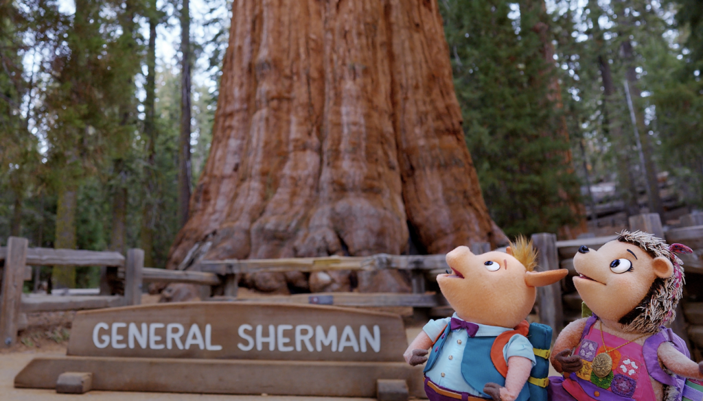 A screenshot from Wowsabout showing puppets Ronald and Roxy wearing backpacks and looking up in awe at the massive trunk of the General Sherman giant sequoia tree. A wooden sign reading