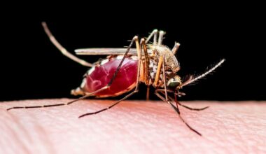 Long Beach health officials confirm state's first human case of West Nile virus this year