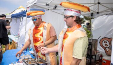 Community events in San Diego County: From Ocean Beach Street Fair to Ramona Lavender Festival – San Diego Union-Tribune