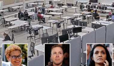 Shocking image shows insane reality of California elections