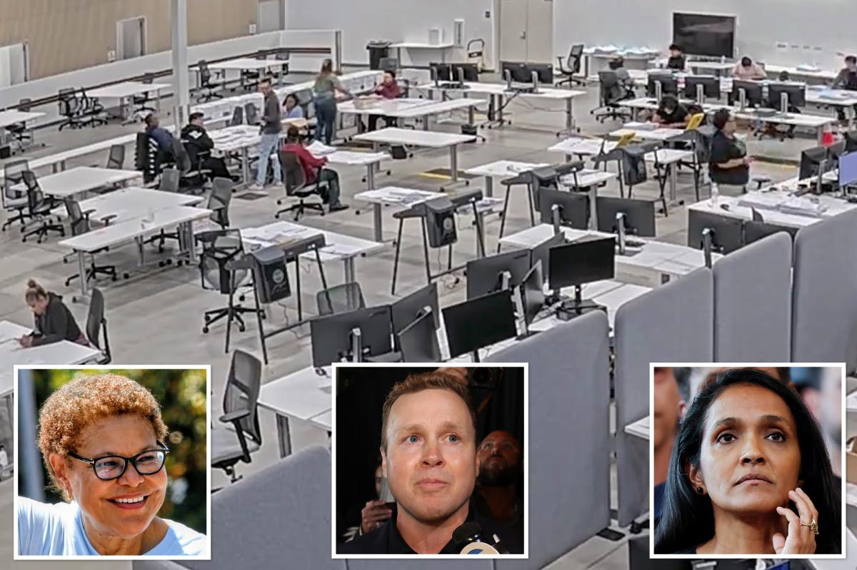 Shocking image shows insane reality of California elections