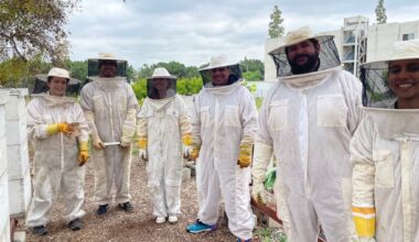 Fullerton Arboretum’s apiary is abuzz with opportunities for research … and honey – Orange County Register