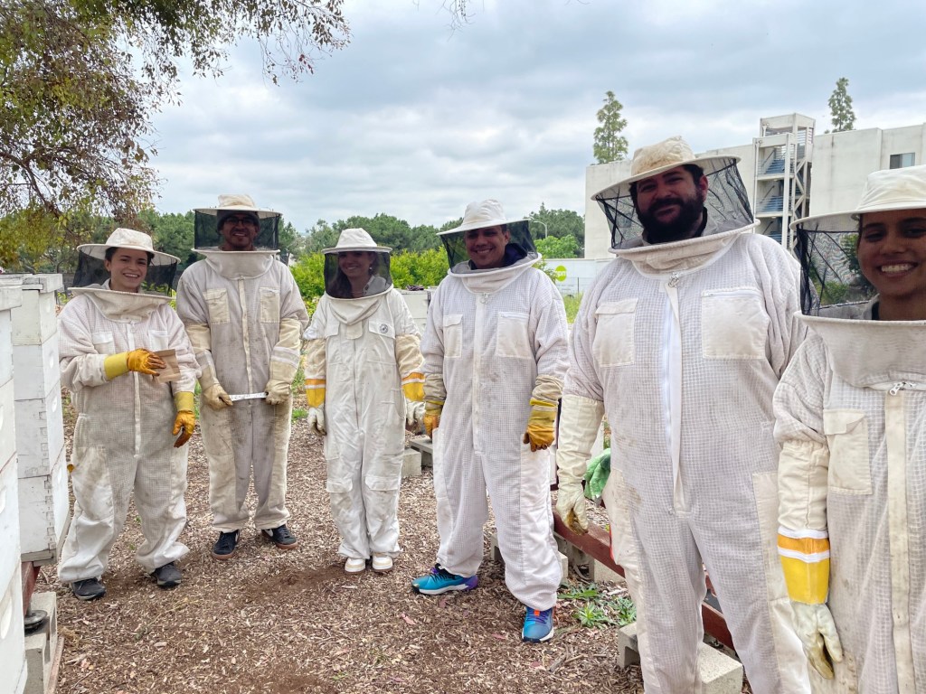 Fullerton Arboretum’s apiary is abuzz with opportunities for research … and honey – Orange County Register