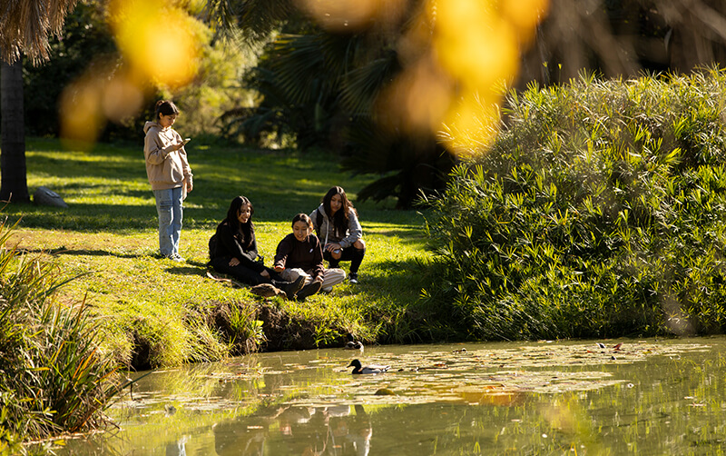 Visitors to the arboretum and botanical garden sit next to the lake.