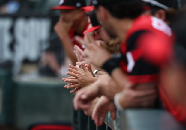 White Sox players lean on the dugout railing in the ninth inning against the Dodgers on June 13, 2026, at Rate Field. (John J. Kim/Chicago Tribune)
