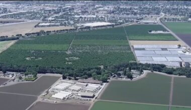 California, Santa Clara County to block Gilroy ICE facility – NBC Bay Area