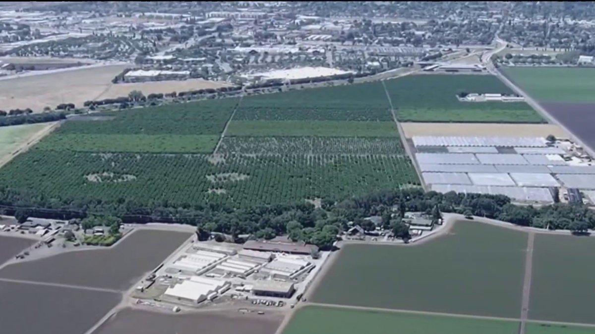 California, Santa Clara County to block Gilroy ICE facility – NBC Bay Area