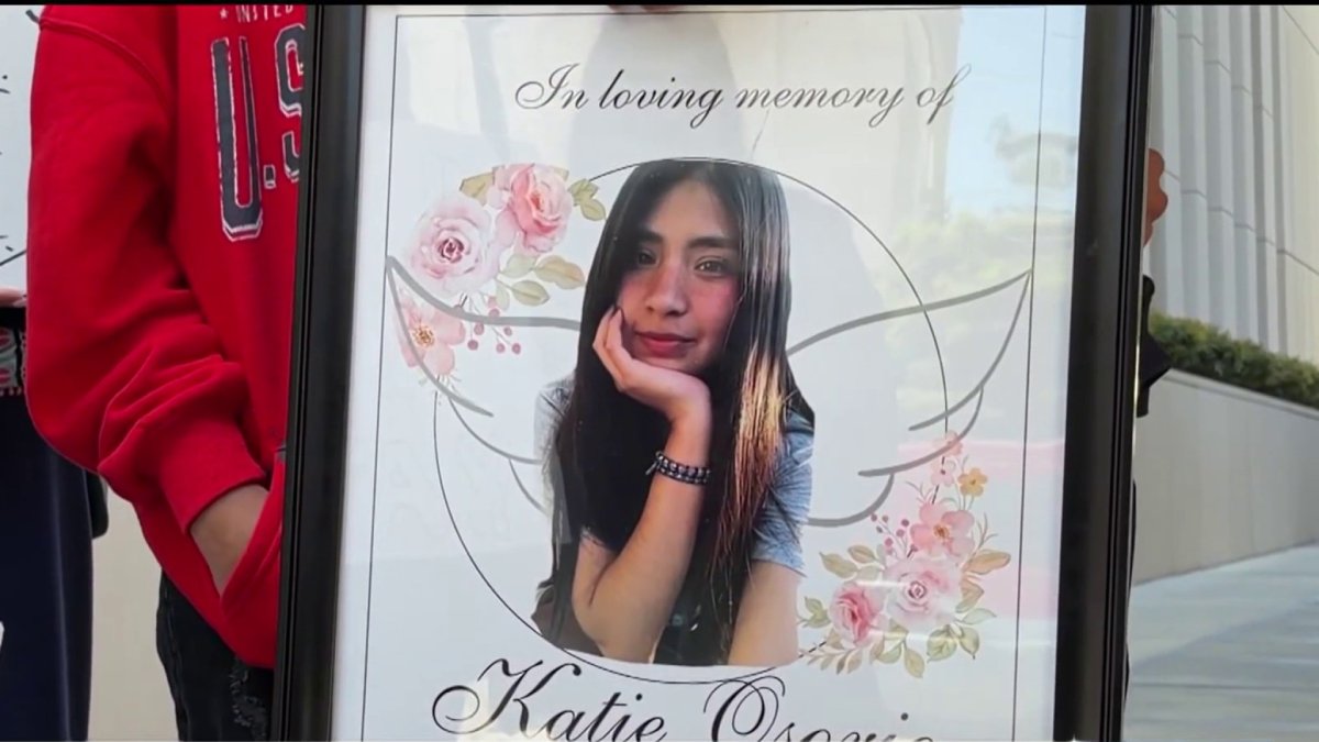 San Diego County employee pleads not guilty in crash that killed bride-to-be – NBC 7 San Diego