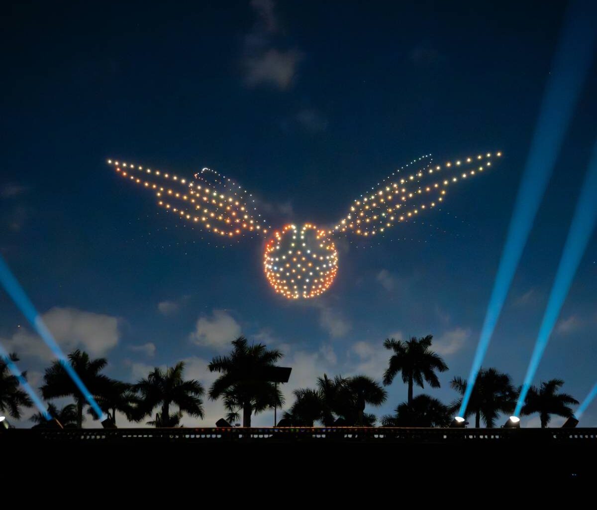 A Harry Potter drone show is taking to the skies for one night only