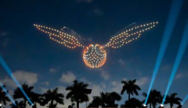 A Harry Potter drone show is taking to the skies for one night only