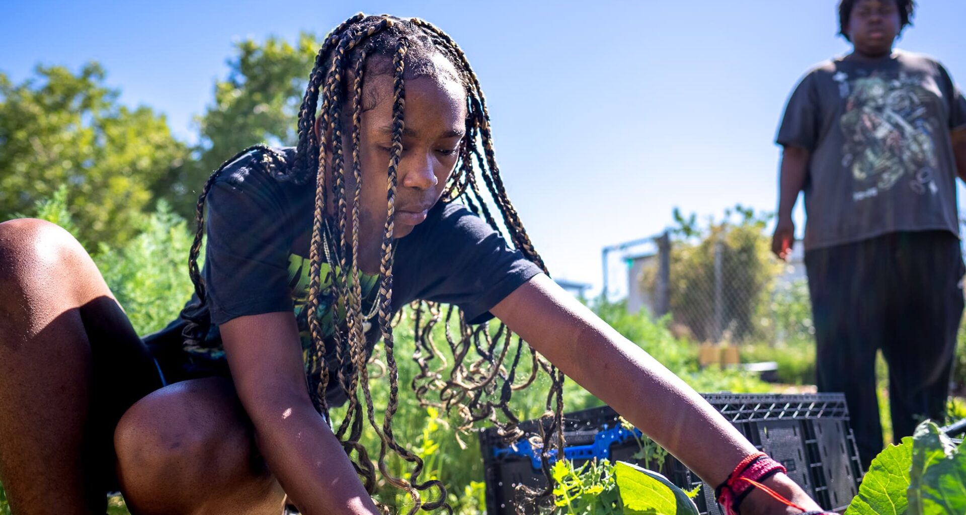 Sacramento school's urban garden teaches students to grow food