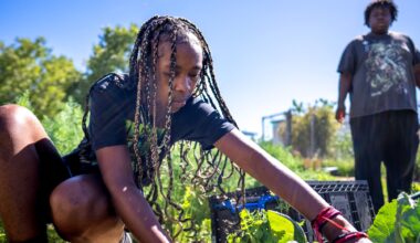 Sacramento school's urban garden teaches students to grow food