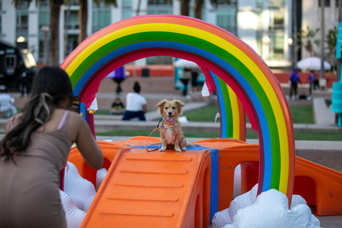 DTLA Alliance Dog Day