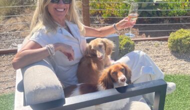 Alila Marea Beach Resort and Rancho Coastal Humane Society team up for dog-friendly events – San Diego Union-Tribune