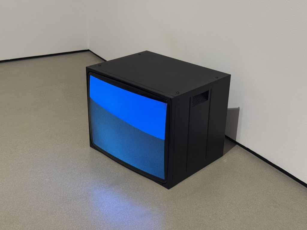 Yoko Ono SKY TV