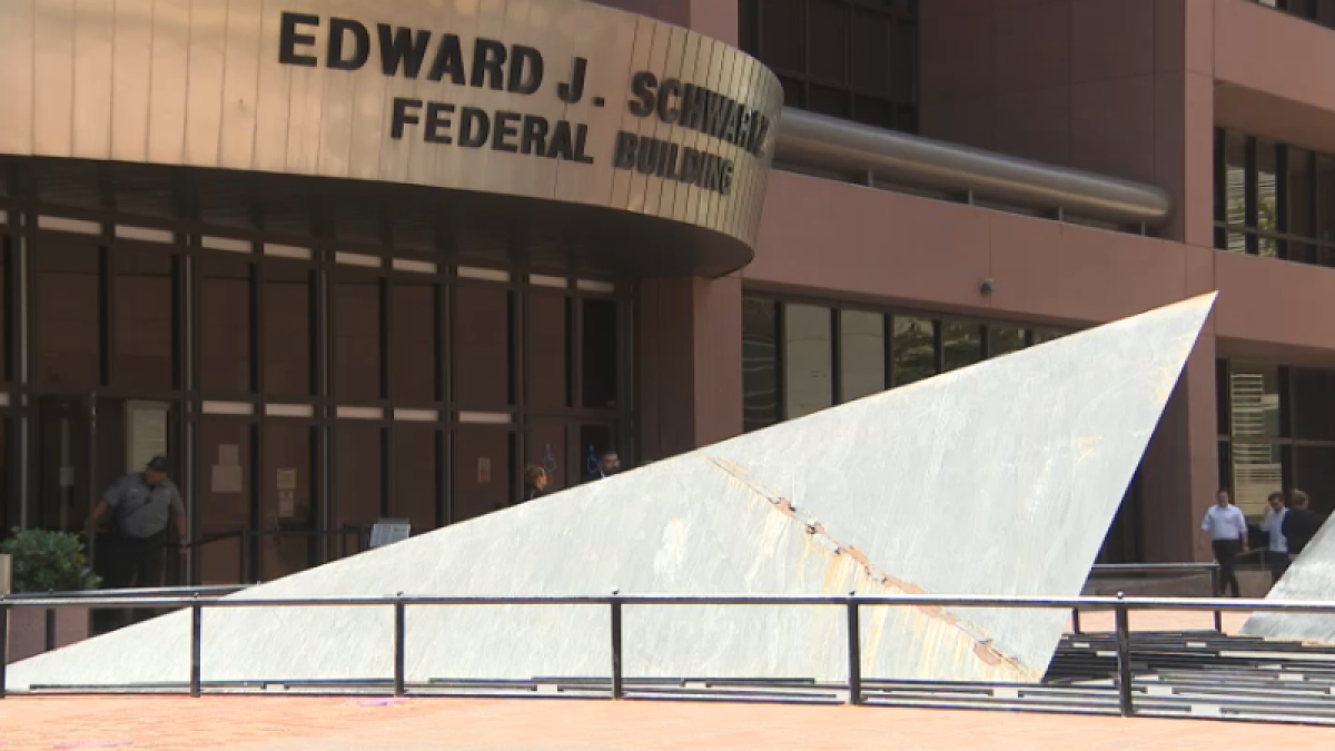 Immigration-court volunteers appear for hearing months after getting citations – NBC 7 San Diego
