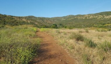 Appellate court strikes down proposal for 3,008 homes in Santee