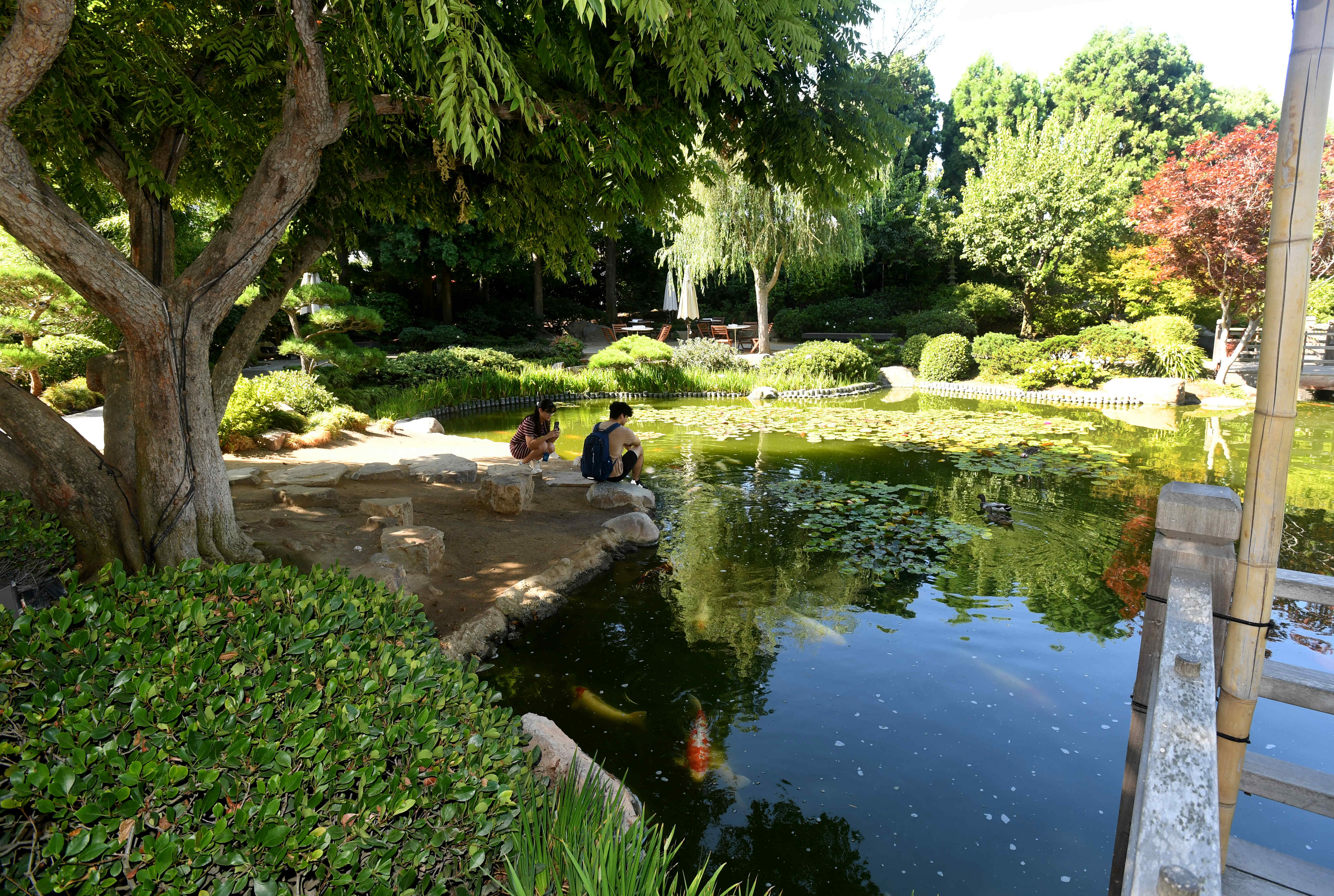 The Earl Burns Miller Japanese Garden on the Cal State...