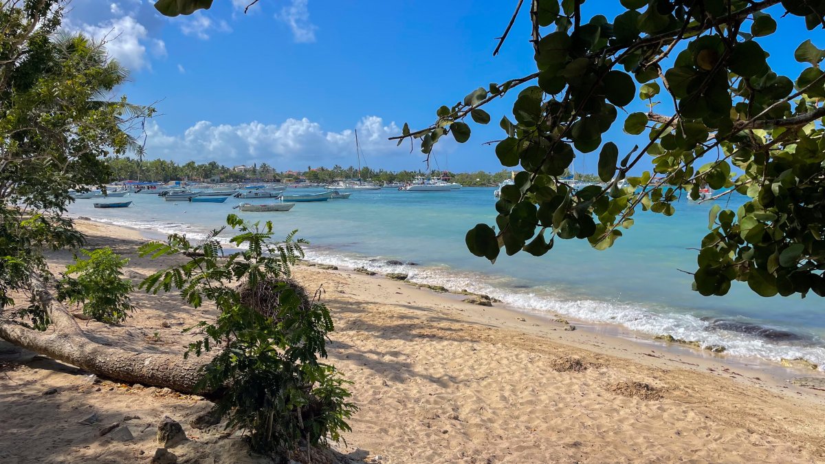 Massive fire destroys resort in Dominican Republic – NBC Los Angeles