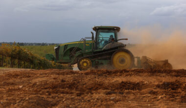 A tractor berms soil for almond trees on a farm near Lodi, Calif., on Oct. 13, 2025. Credit: Patrick T. Fallon/AFP via Getty Images