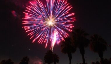 Bay Area cities among the best for July Fourth celebrations – NBC Bay Area