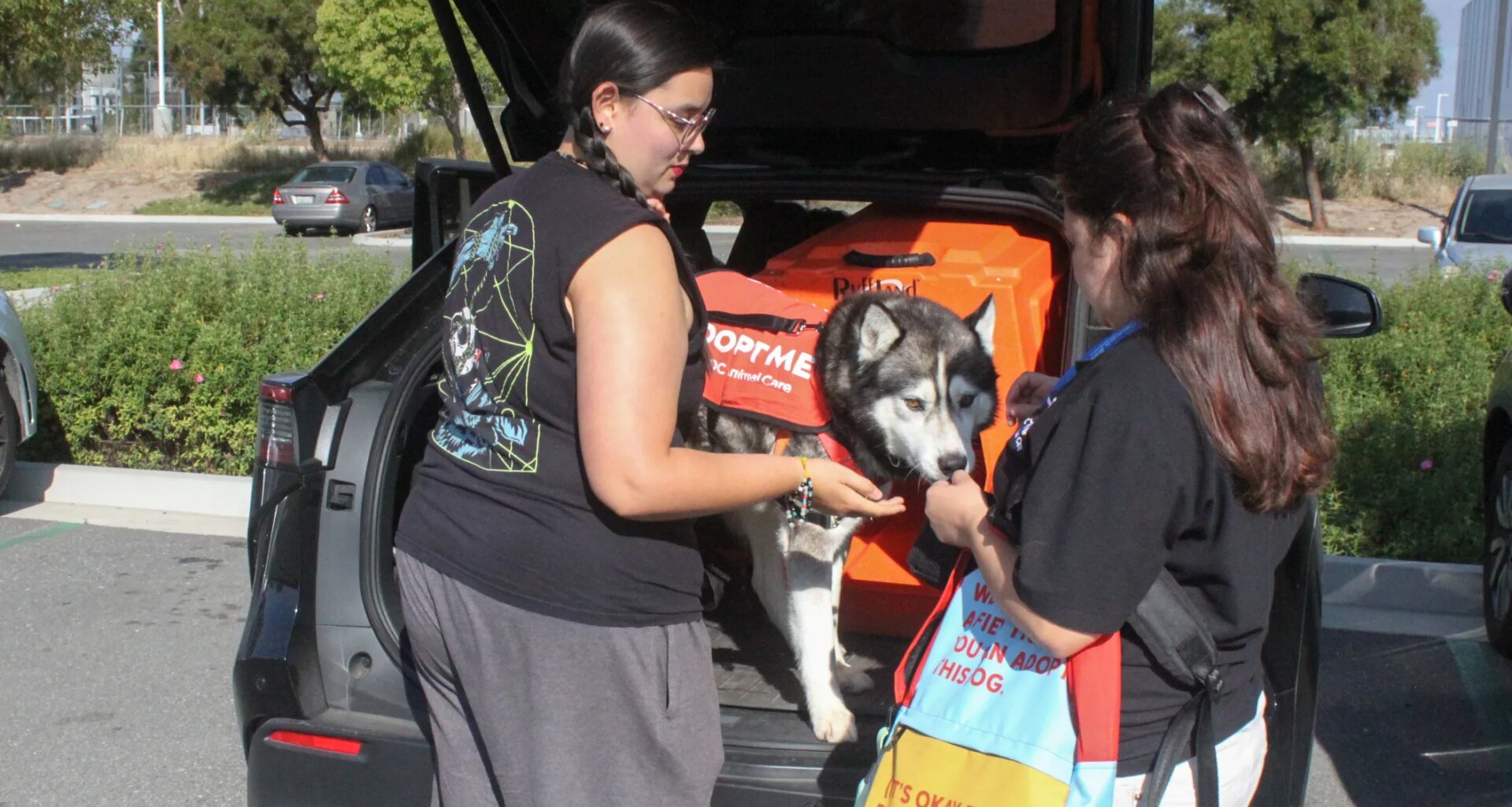 Orange County Shelter Dogs Go On Adventures in Pilot Program