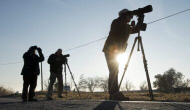 Sacramento Audubon Society renames to Sacramento Bird Alliance