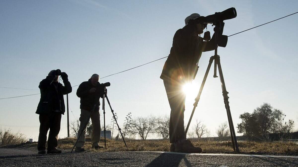 Sacramento Audubon Society renames to Sacramento Bird Alliance