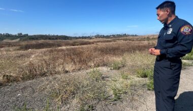Warning about wildfire risk across San Diego County ahead of July fireworks – NBC 7 San Diego