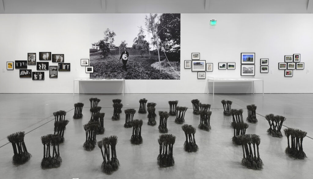 An installation view of Hassinger's "Living Moving Growing" showing dozens of short, dark wire-rope sculptures arranged across a gallery floor. In the background, a white wall displays a massive black-and-white photograph flanked by clusters of smaller framed pictures.