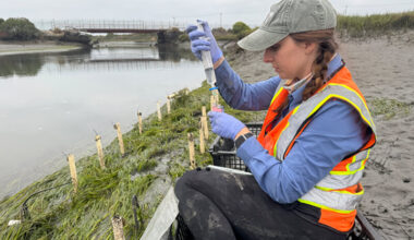 Biology Student Receives $10,000 Award From Aquarium of the Pacific