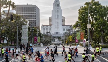 LA City Council pulls noncitizen voting, LAPD measures from November ballot – Daily News